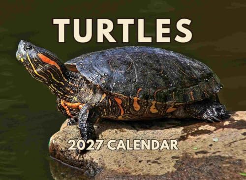 Turtle Calendar 2027 Monthly Wall Calender 12 Month