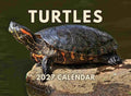 Turtle Calendar 2027 Monthly Wall Calender 12 Month