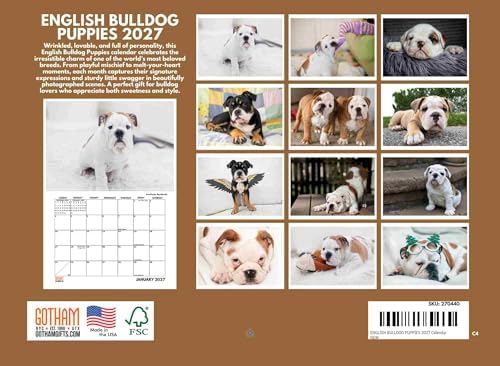 English Bulldog Puppy Calendar 2027 Monthly Wall Calender 12 Month