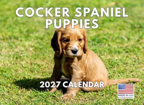 Cocker Spaniel Puppies Calendar 2027 Monthly Wall Calender