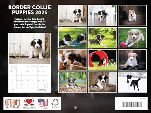 Border Collie Puppy Calendar 2027 Monthly Wall Calender 12 Month