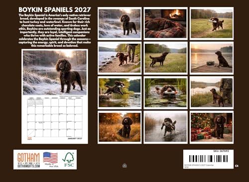 Boykin Spaniel Dog Calendar 2027 Monthly Wall