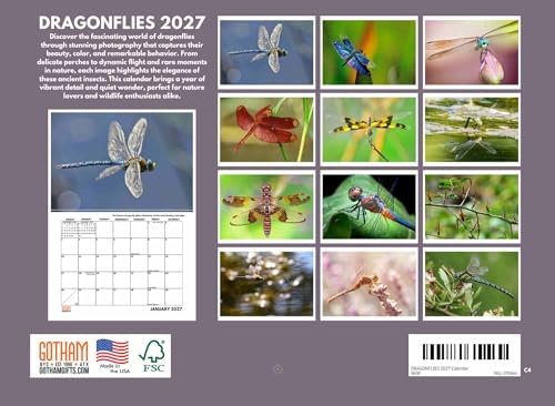 Dragonfly Calendar 2027 Monthly Wall Calender 12 Month