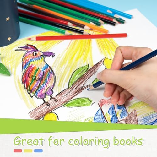 S & E TEACHER'S EDITION Colored Pencils, 240Pcs (Pack of 2)