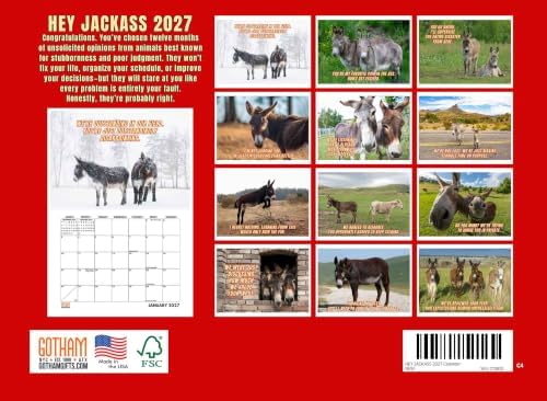 Hey Jackass Donkey 2027 Calendar Monthly Wall 12 Month