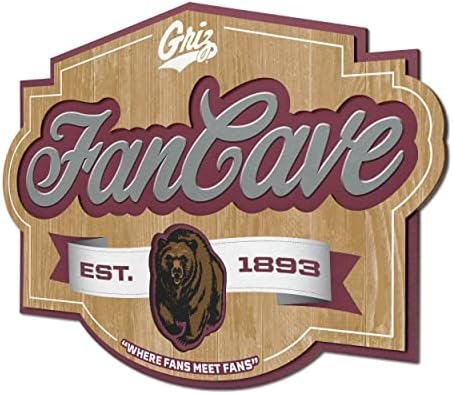YouTheFan NCAA Officially-licensed FanCave 3D wall art - ready-to-hang, 3D multi-layered construction - floating wall mount design - Perfect fan gift