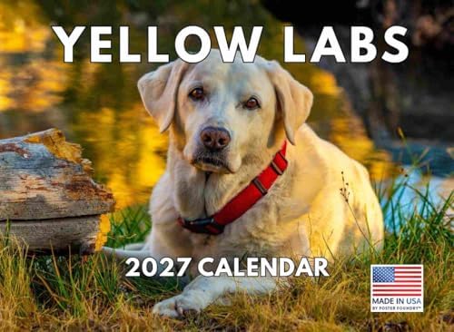 Yellow Lab Calendar 2027 Labrador Monthly Wall Calender 12 Month