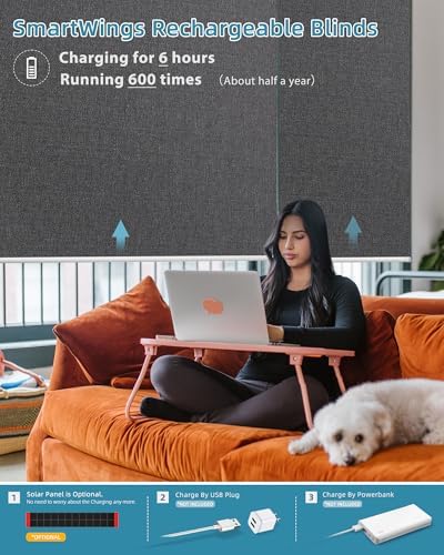 SmartWings Motorized Smart Roller Shades, 100% Blackout Eclipse Anchor Grey