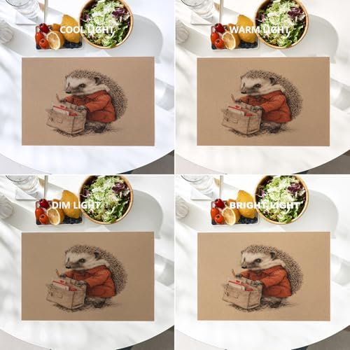 Batmerry Hedgehog Delivery Mail Linen Placemats Set of 4, Cute with Bag Washable Table Mats for Kitchen Table Thickened Heat Insulation Dining Set Indoor Outdoor 12X18 in