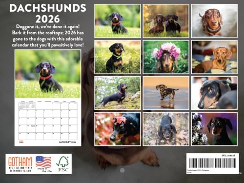 Dachshund Calendar 2026 Wall Monthly Dachshunds Gifts For Dachshund Lovers Women Men Mom Dad | American Made In The USA