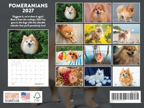 Pomeranian Calendar 2027 Monthly Wall Calender 12 Month