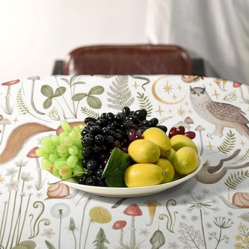 Country Forest Tablecloth, Wild Animal Hare Squirrel Owl Snake Snail Flowers Mushroom Table Cover for Tea Party Weddings Indoor Outdoor Dining 60x120in