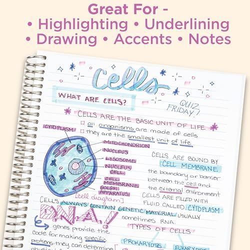 Zebra Pen MILDLINER No Bleed Highlighter, Gentle Colors, Dual Tip, 5-Pack
