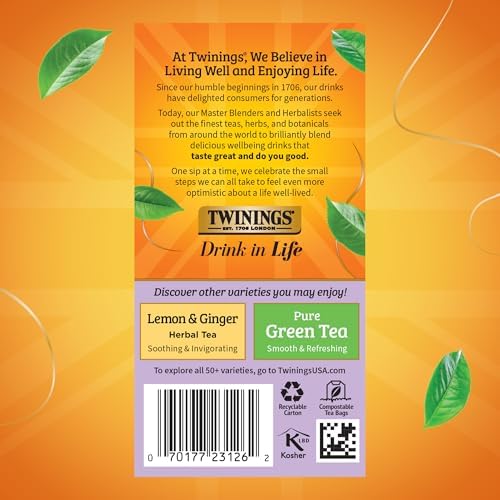 Twinings Wild Berries Herbal Tea Individually Wrapped Bags, 20 Count (Pack of 2), Full-Flavoured, Naturally Caffeine-Free, Enjoy Hot or Iced, 20 Teabags