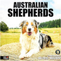 RED EMBER Australian Shepherds Aussies 2026 Wall Calendar 12 Month | 12" x 24" Open | Thick & Sturdy Paper | Giftable | Cute Puppy Dog Calendar 2026
