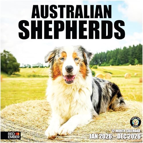 RED EMBER Australian Shepherds Aussies 2026 Wall Calendar 12 Month | 12" x 24" Open | Thick & Sturdy Paper | Giftable | Cute Puppy Dog Calendar 2026