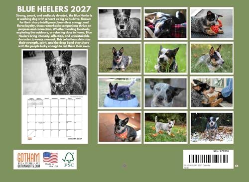 Blue Heeler Calendar 2027 Monthly Wall Calender 12 Month