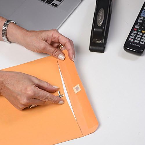 Quality Park 4 x 6 Clasp Envelopes, 100 Pack, Document Envelopes with Gummed Flap, Heavyweight 28 lb Paper with Reinforced Holes and Double Prong Clasp, Brown Kraft