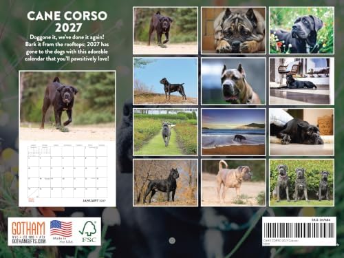 Cane Corso Calendar 2027 Monthly Wall Calender 12 Month