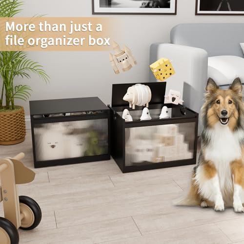 Bamboo Hanging File Organizer, Desktop File Box with Lids, 2 Pack, Black | Removable Lid, Clear Acrylic Side Panels, 4 Hanging Folders Included, Helps Reduce Dust, Letter & Legal Size, Easy Assembly