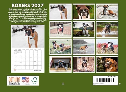 Boxer Calendar 2027 Monthly Wall Calender 12 Month