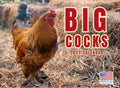 Big Cocks Calendar 2027 Rooster Monthly Wall Calender 12 Month