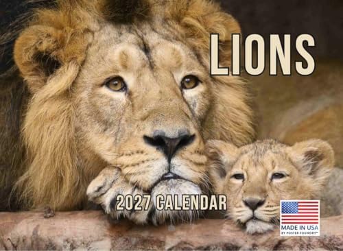Lion Calendar 2027 Lions Monthly Wall Calender 12 Month