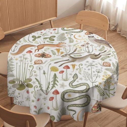 Country Forest Tablecloth, Wild Animal Hare Squirrel Owl Snake Snail Flowers Mushroom Table Cover for Tea Party Weddings Indoor Outdoor Dining, 60x60in