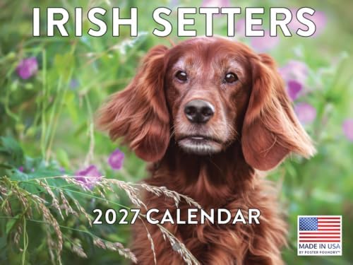 Irish Setter Calendar 2027 Monthly Wall Calender 12 Month