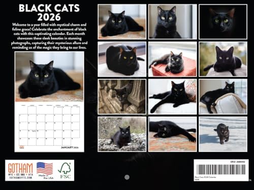 Black Cat Calendar 2026 Wall Black Cats Gifts For Cat Lovers Monthly Calender 12 Month | American Made In The USA