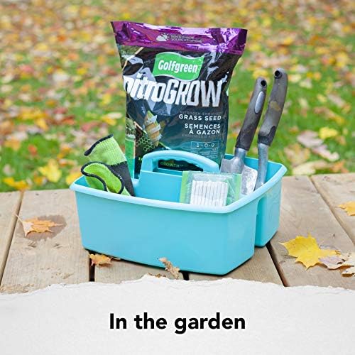 Storex 2-Compartment Large Craft Caddy – Multipurpose Classroom Organizer with Handle, Teal, 1-Pack (00959C06C)