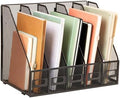 Mind Reader 5-Compartment Vertical File Organizer, Desktop Paper Sorter, Office, Metal Mesh, Black