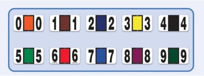 File Right Number Labels Roll – Color-Coded Numeric Filing Labels, 1-5/8" × 7/8" Laminated Self-Adhesive File Folder Numbers for, Office Filing Systems, Automotive Records – Roll #8, 2 Roll