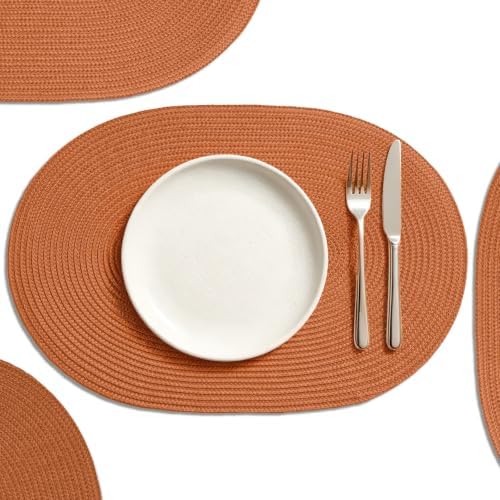 AHHFSMEI Placemats Set of 6 for Dining Table Washable Woven Non-Slip 18x12 inches Placemat Heat-Resistant Durable Table Mats for Dining Table Easy to Clean (Burnt Orange 6)