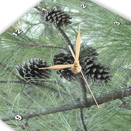 3dRose dpp_23812_2 Pine Cones Wall Clock, 13 by 13-Inch