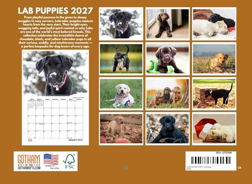 Poster Foundry Lab Puppy Calendar 2027 Labrador Puppies Monthly Wall Calender 12 Month | American Made In The USA