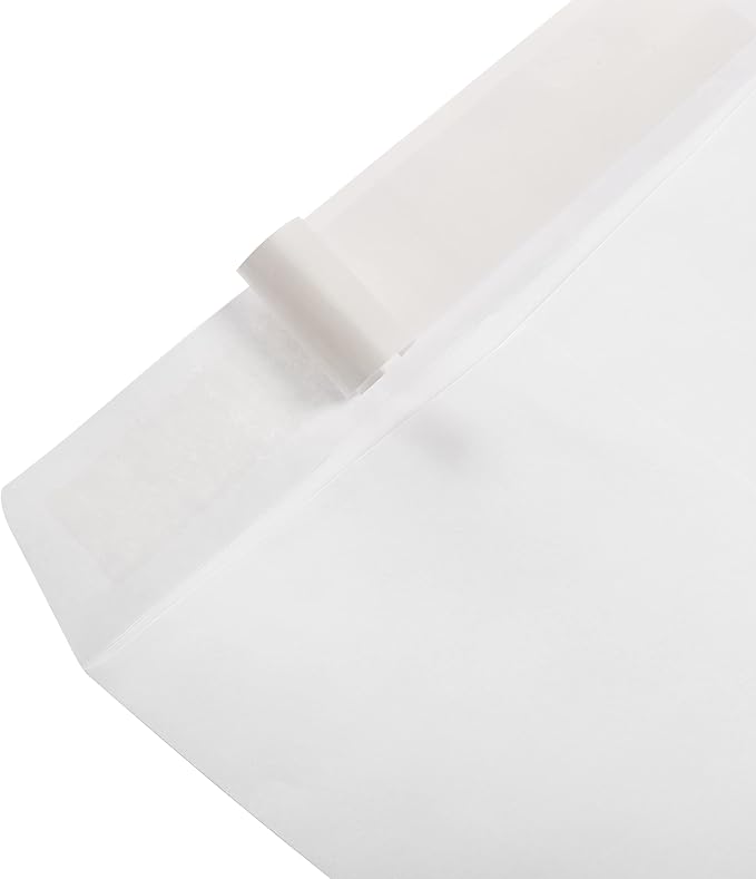 Amazon Basics Catalog Mailing Envelopes,Peel and Seal,9x12 Inch,White,250 Count (Pack of 2)