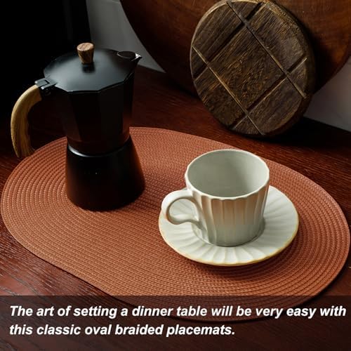 AHHFSMEI Placemats Set of 6 for Dining Table Washable Woven Non-Slip 18x12 inches Placemat Heat-Resistant Durable Table Mats for Dining Table Easy to Clean (Burnt Orange 6)