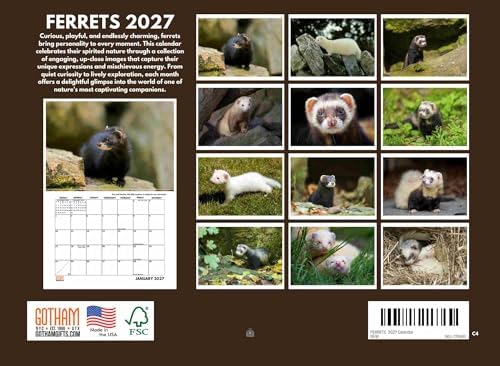 Ferret Calendar 2027 Monthly Wall Calender 12 Month