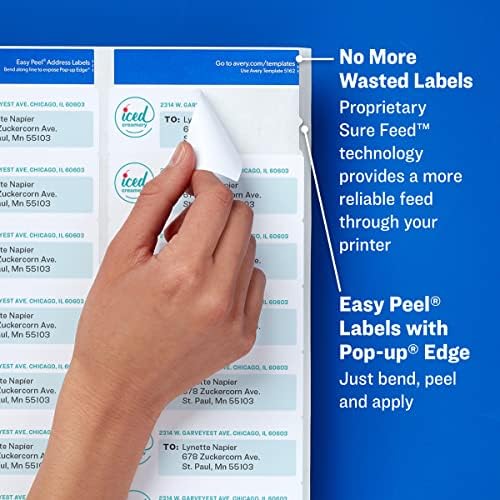 Avery® Address Labels for Laser & Inkjet Printers, 300 Labels Per Pack, 3 Packs, 900 Total (18160)
