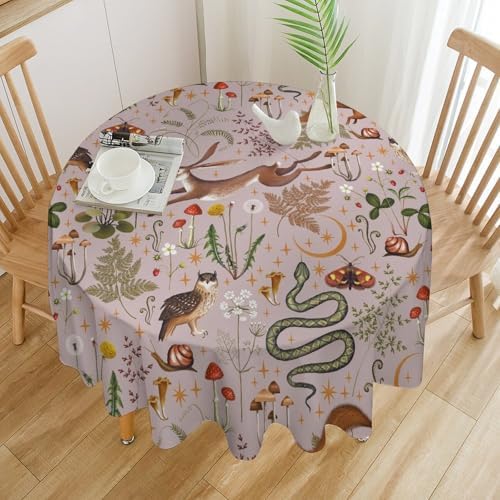 Rustic Forest Tablecloth, Pink Woodland Wild Animal Hare Squirrel Owl Snail Flowers Mushroom Table Cloth for Home Kitchen Dining Outdoor Patio Wedding Decor, 60x60in
