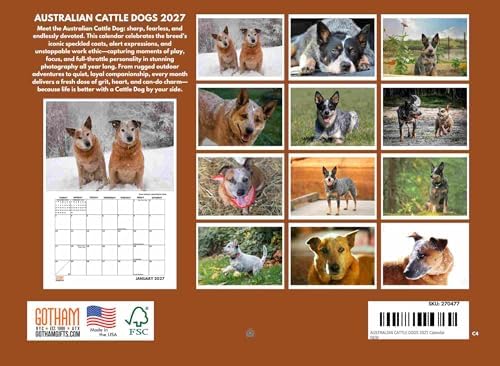Australian Cattle Dog Calendar 2027 Monthly Wall Calender 12 Month