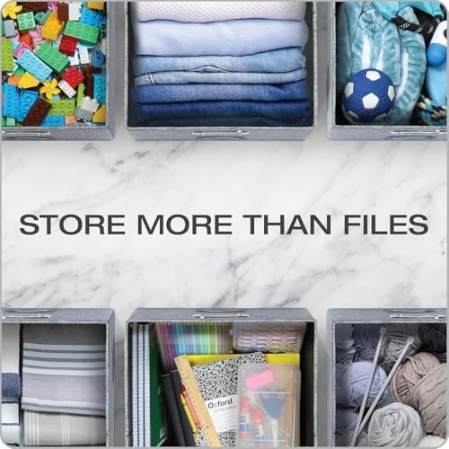 Pendaflex File Organizer Box with Lid, Hanging File Storage Box