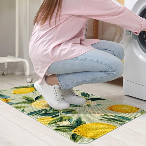 Kitchen Rugs and Mats,Washable Non-Slip Floor Mats Door Mat