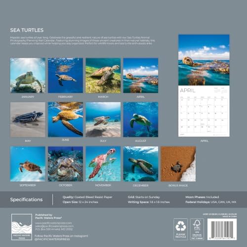 Sea Turtles 2027 Wall Calendar, 12 x 24 Hanging Pacific Waters Press