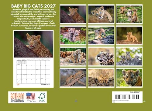 Baby Big Cat Calendar 2027 Cubs Monthly Wall Calender 12 Month