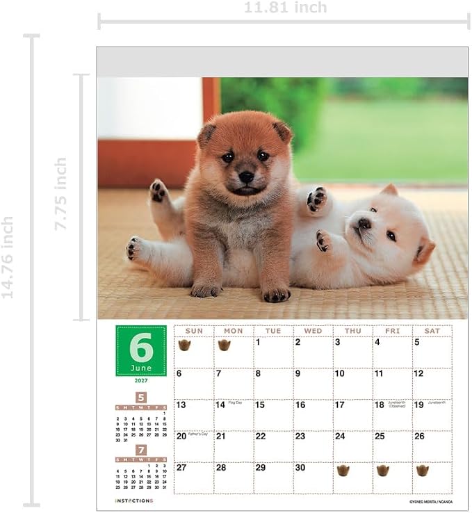 Shiba Inu Wall Calendar 2027, Cute Puppy Photos, Japanese Scenery
