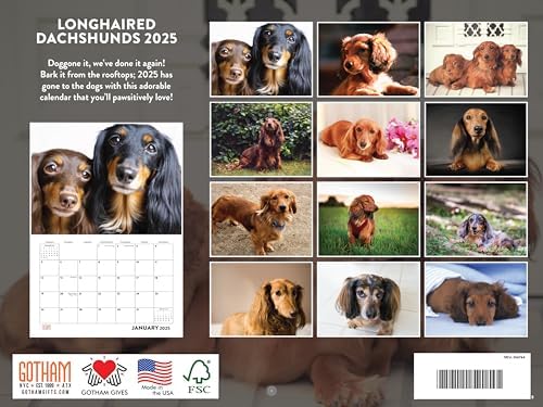 Long Haired Dachshund Calendar 2027 Longhaired Monthly Wall Calender 12 Month