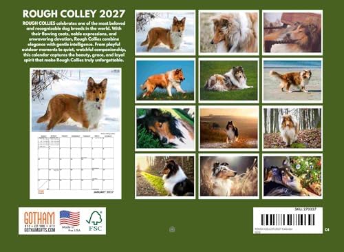 Rough Collie Calendar 2027 Monthly Wall Calender