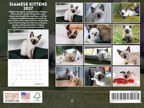 Siamese Kitten Calendar 2027 Cat Monthly Wall Calender 12 Month